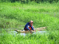 Kingfisher ecolodge - Laos, visser in de wetlands