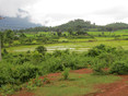 Rijstvelden onderweg - Laos